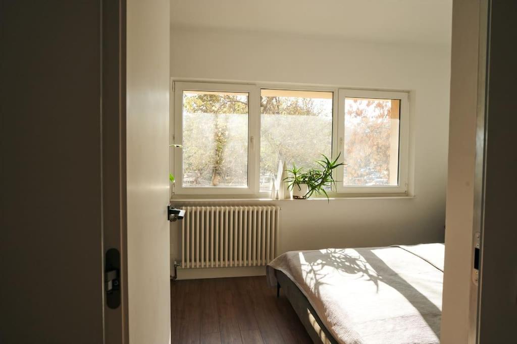 Ultracentral Two Rooms Apartment In Bucharest Exterior photo